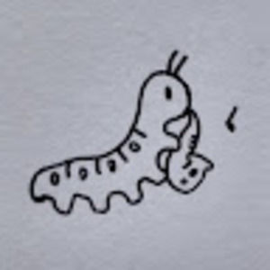 Meet your Posher, Dippity dip